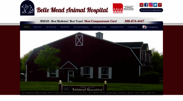 bellemeadanimalhospital.com