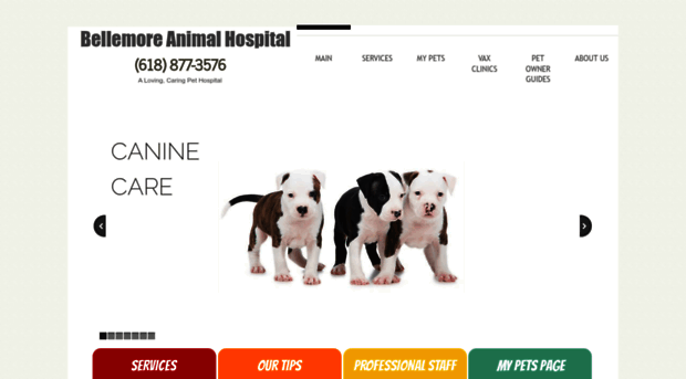 bellemoreanimalhospital.com