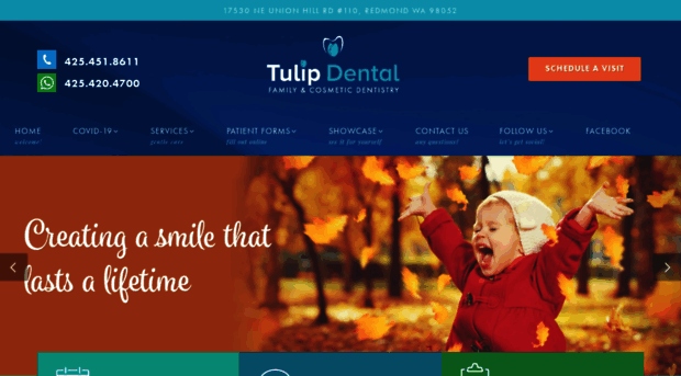 bellevuetulipdental.com