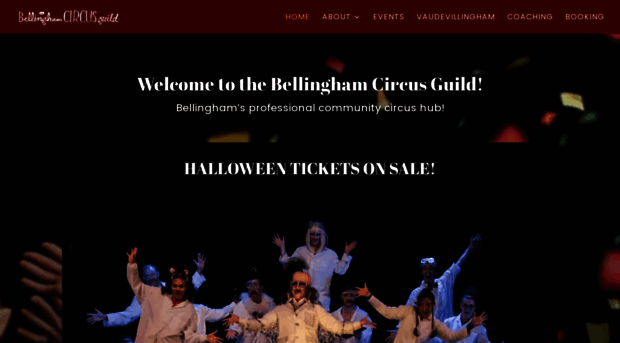 bellinghamcircusguild.com