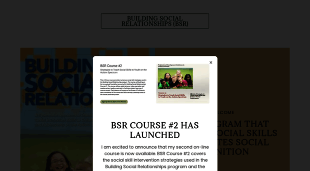 bellinibsr.com