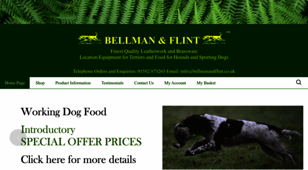 bellmanandflint.co.uk