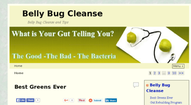 bellybugcleanse.com