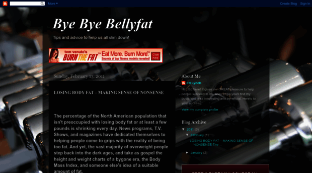 bellyfatbyebye.blogspot.com
