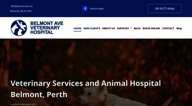 belmontavevet.com.au