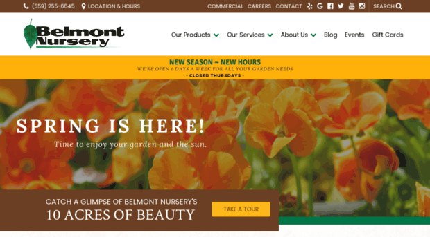 belmontnursery.com