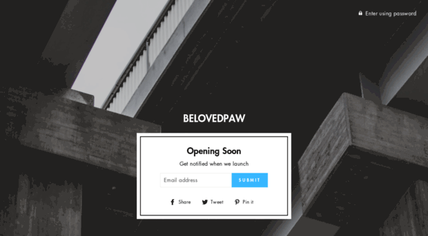 belovedpaw.myshopify.com