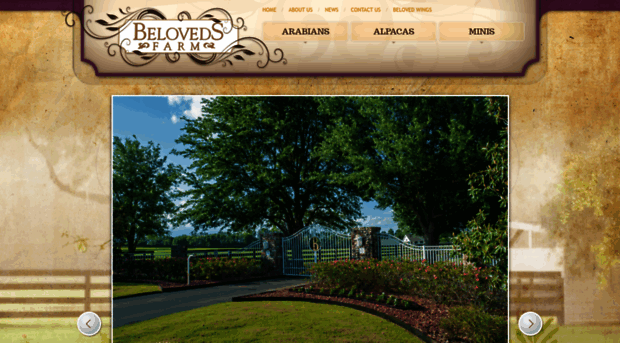 belovedsarabians.com