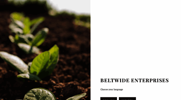 beltwide.net