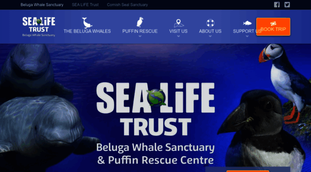 belugasanctuary.sealifetrust.org