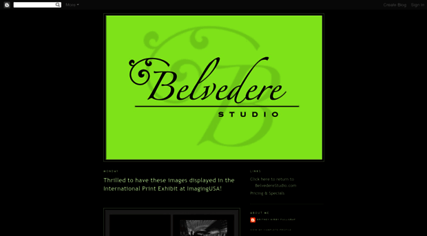 belvederestudio.blogspot.com