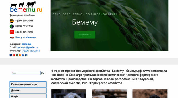 bememu.ru