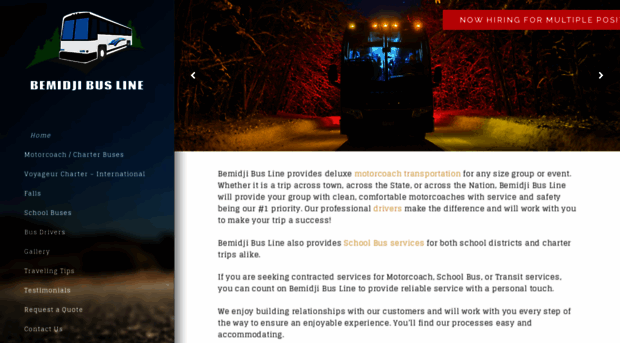 bemidjibus.com