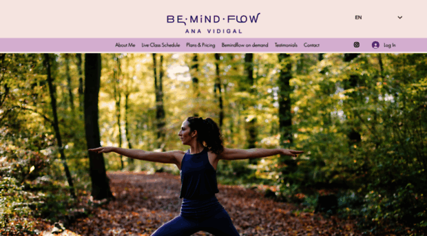 bemindflow.guru