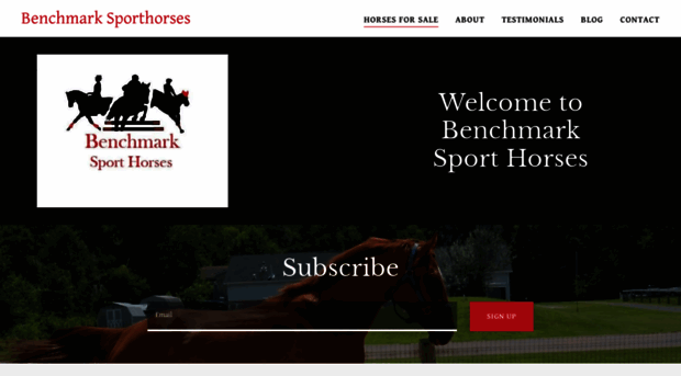 benchmarksporthorses.com