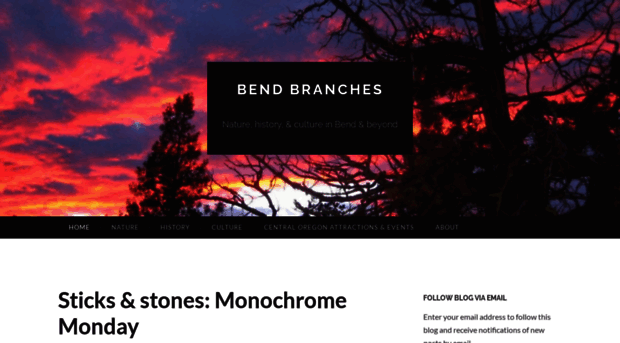 bendbranches.com