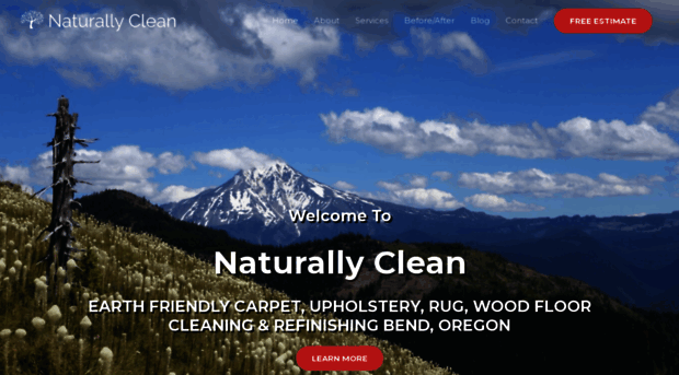 bendcarpetcleaner.com