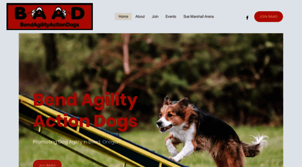 benddogagility.com