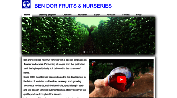 bendorfruits.com