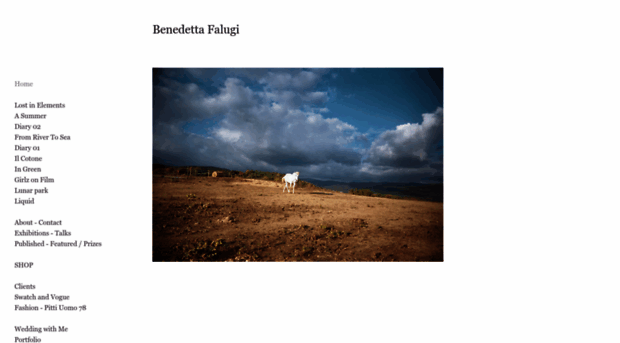 benedettafalugi.com