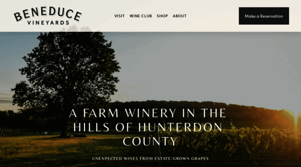 beneducevineyards.com