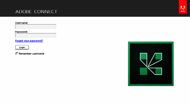 adobe connect login