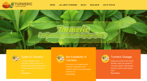 benefitsofturmeric.org