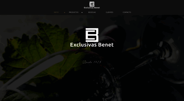 benet.com.mx