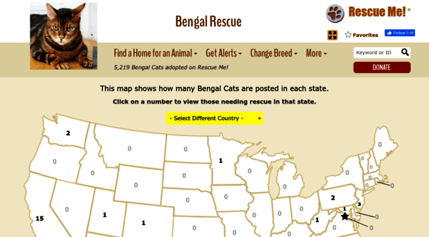 bengal.rescueme.org