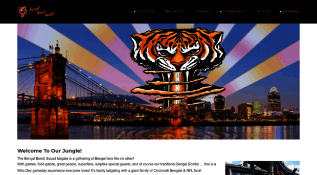 bengalbombsquad.com