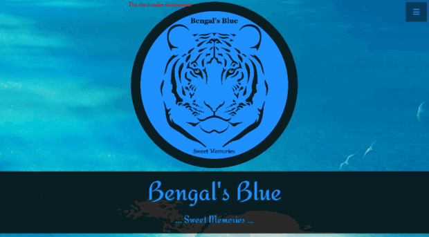 bengalsblue.com