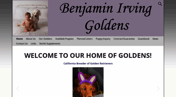 benjaminirvinggoldens.com