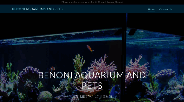 benoniaquariums.co.za