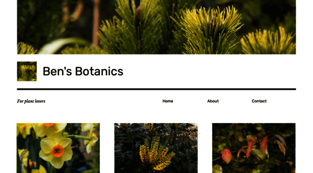 bensbotanics.co.uk