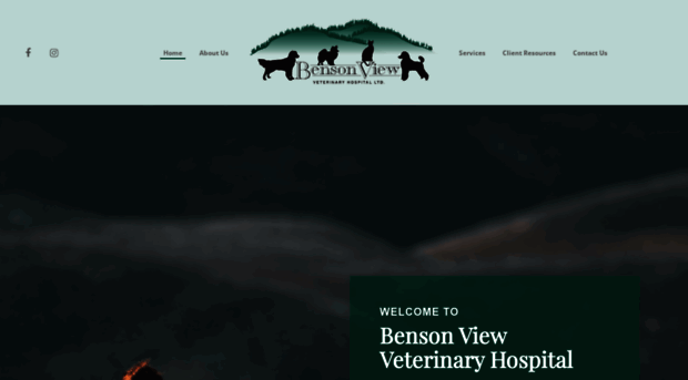 bensonviewvet.com