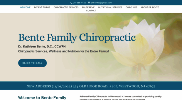 bentechiropractic.com