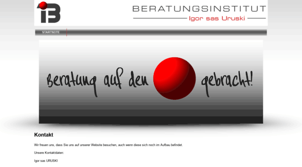 beratungsinstitut.at