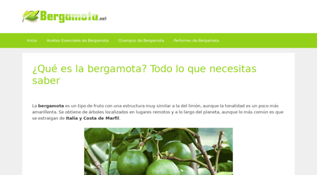 bergamota.net