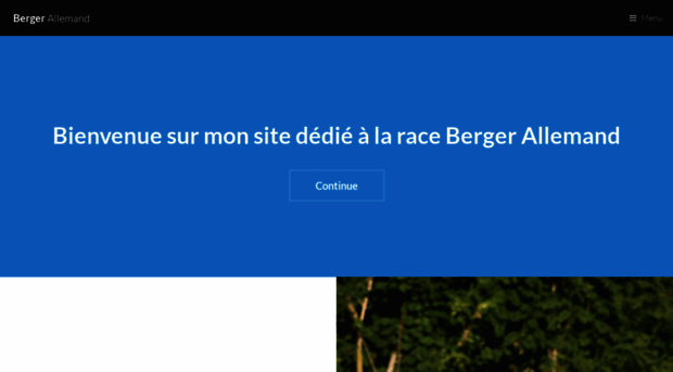 berger-allemand.info