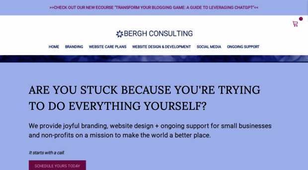 berghconsulting.com