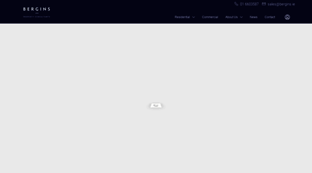bergins.ie
