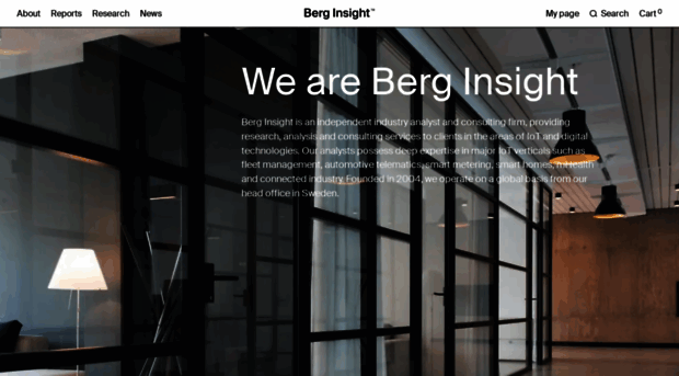 berginsight.com