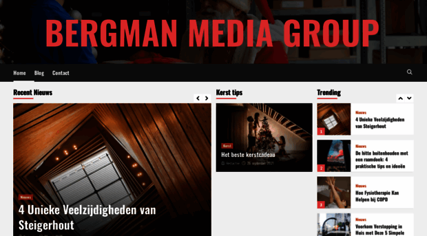 bergmanmediagroup.nl