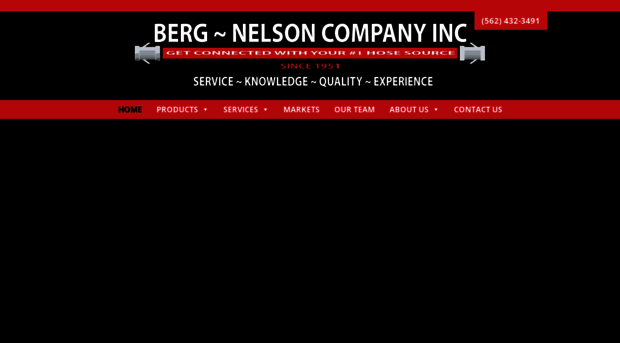 bergnelson.com
