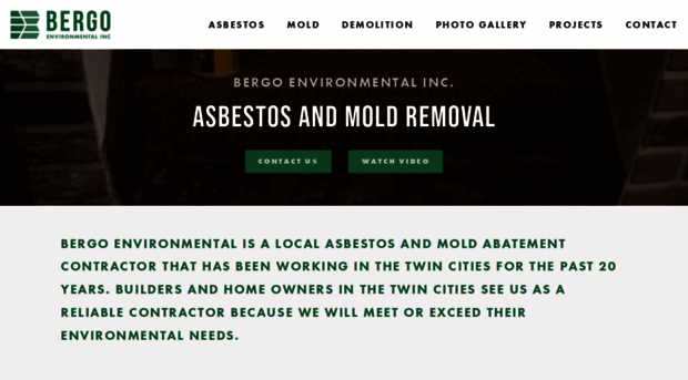 bergoenvironmentalinc.com