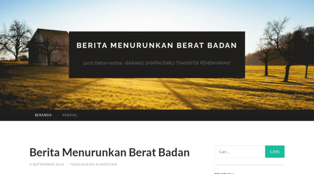 beritamenurunkanberatbadan23.wordpress.com