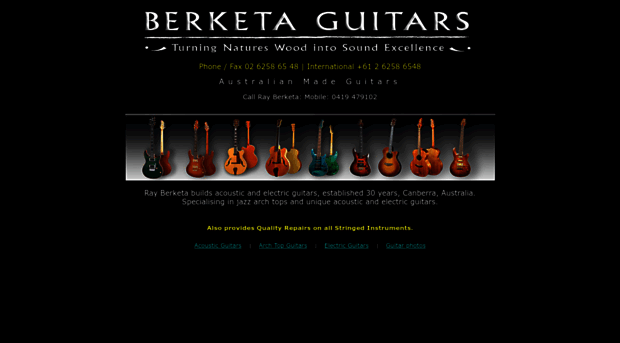 berketaguitars.com