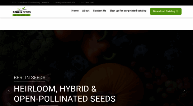 berlinseeds.life