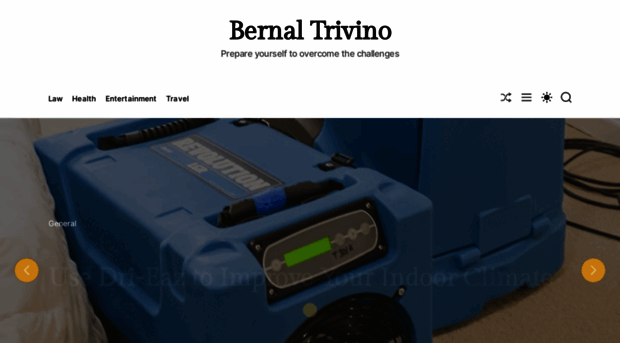 bernaltrivino.com