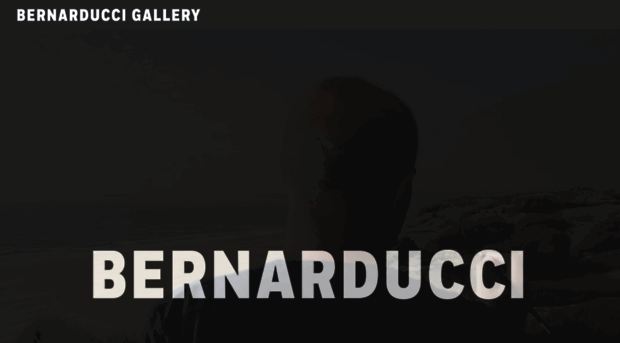 bernarduccigallery.com